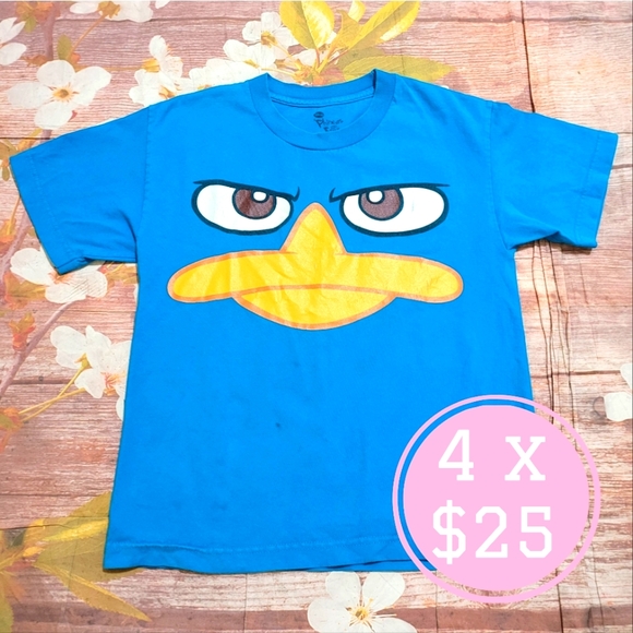 ⭐️ Phineas and Ferb tee - Picture 1 of 6